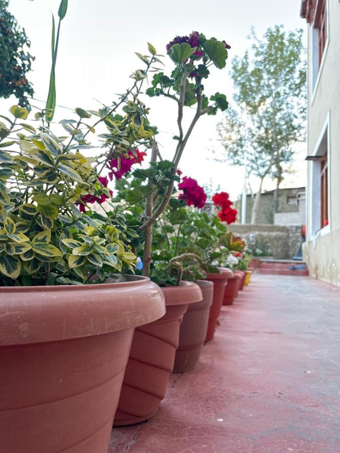 לה Gaywoo Guest House מראה חיצוני תמונה