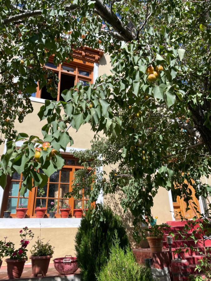 לה Gaywoo Guest House מראה חיצוני תמונה